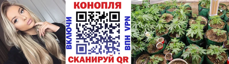 Бошки марихуана план Белогорск